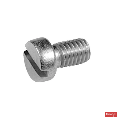 DIN 920 Slotted pan head screws with small head
