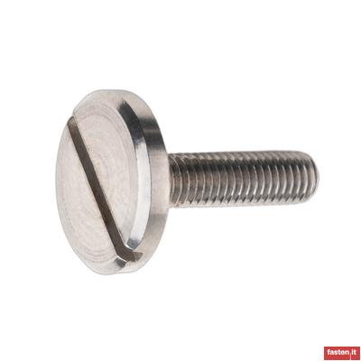 DIN 921 Slotted pan head screws with large head
