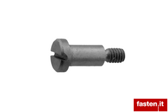 Slotted pan head screws with shoulder
