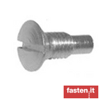 Slotted raised countersunk head screws with dog point