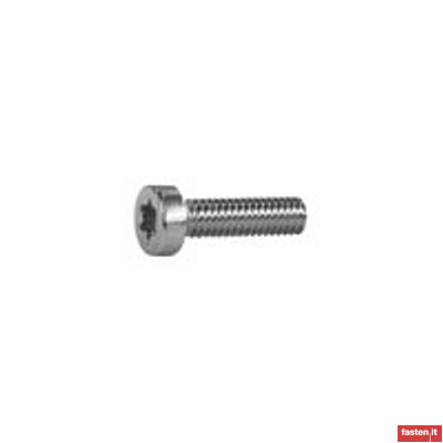 DIN EN ISO 14580 Hexalobular socket screws with reduced head