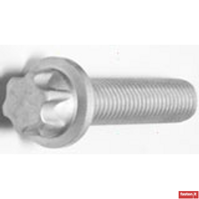 DIN 34801 Bolts and screws with hexalobular head with large flange 