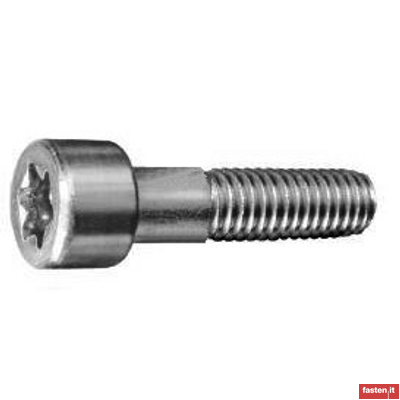 DIN 34802 Hexalobular socket head screws 
