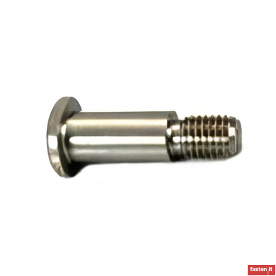DIN 1445 Clevis pins with head and threaded portion
