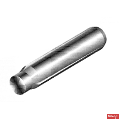 DIN EN ISO 8739 Spine cilindriche con intagli su tutta la lunghezza ed estremità cilindrica
