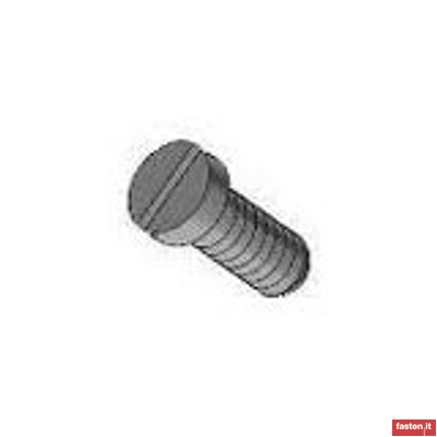 DIN 8243 Slotted cheese head screws for fine mechanics