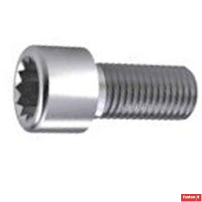 DIN 34821 12 point socket cheese head screws