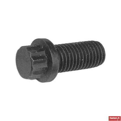 DIN 34822 12 point cheese head screws with flange