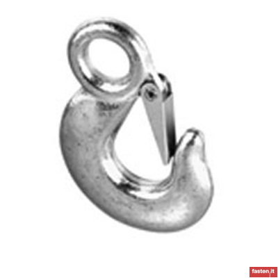 DIN 1677 2 Forged still lifting hooks with latch; Grade 8.