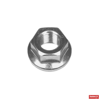 NF E25-406 Hexagon nuts with flange