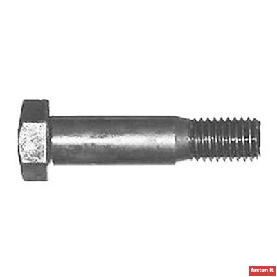 DIN 7968 Hexagon fit bolts with hexagon nut for steel structures