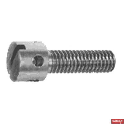 UNI 6111 Slotted capstan screws
