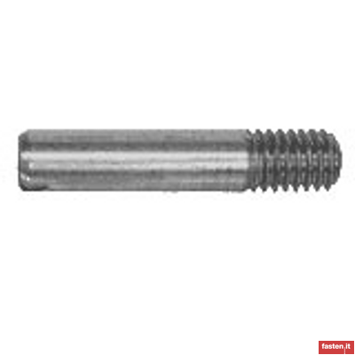 DIN EN ISO 2342 Slotted headless screws with shank