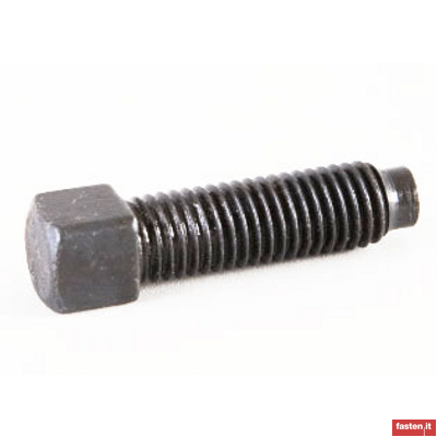 DIN 479 Square head screws with short dog point