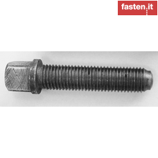Square head screws with collar and oval half dog point rounded end