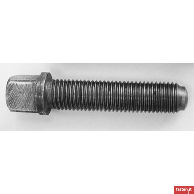 DIN 480 Square head screws with collar and oval half dog point rounded end