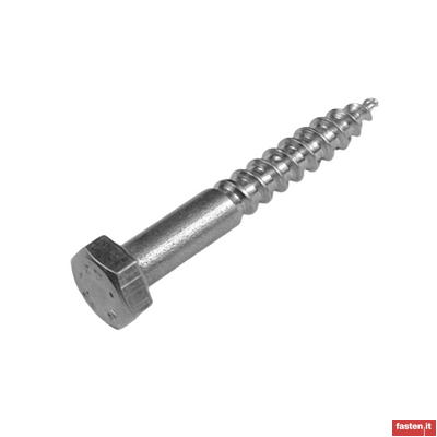 NF E25-607 Hexagon head wood screws, lag screws