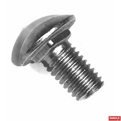 DIN 603 Cup head square neck bolts