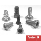 Special cold forged fasteners