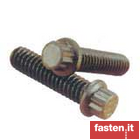 Flange 12-point screws IFI 115, inch series
