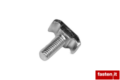 T-head bolts and anchor head bolts for profiles