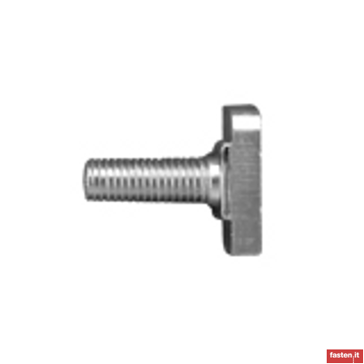 ISO 299 T-head bolts and anchor head bolts for profiles