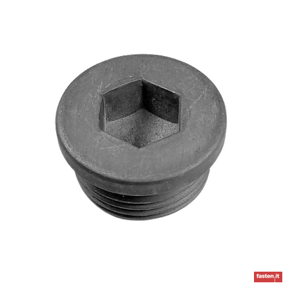 DIN 908 Hexagon Socket Screw Plugs with collar