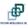Puccioni metallurgica S.r.l.